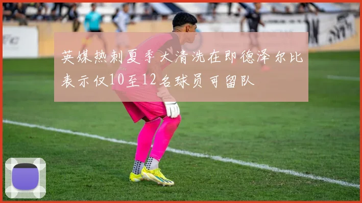 英媒热刺夏季大清洗在即德泽尔比表示仅10至12名球员可留队